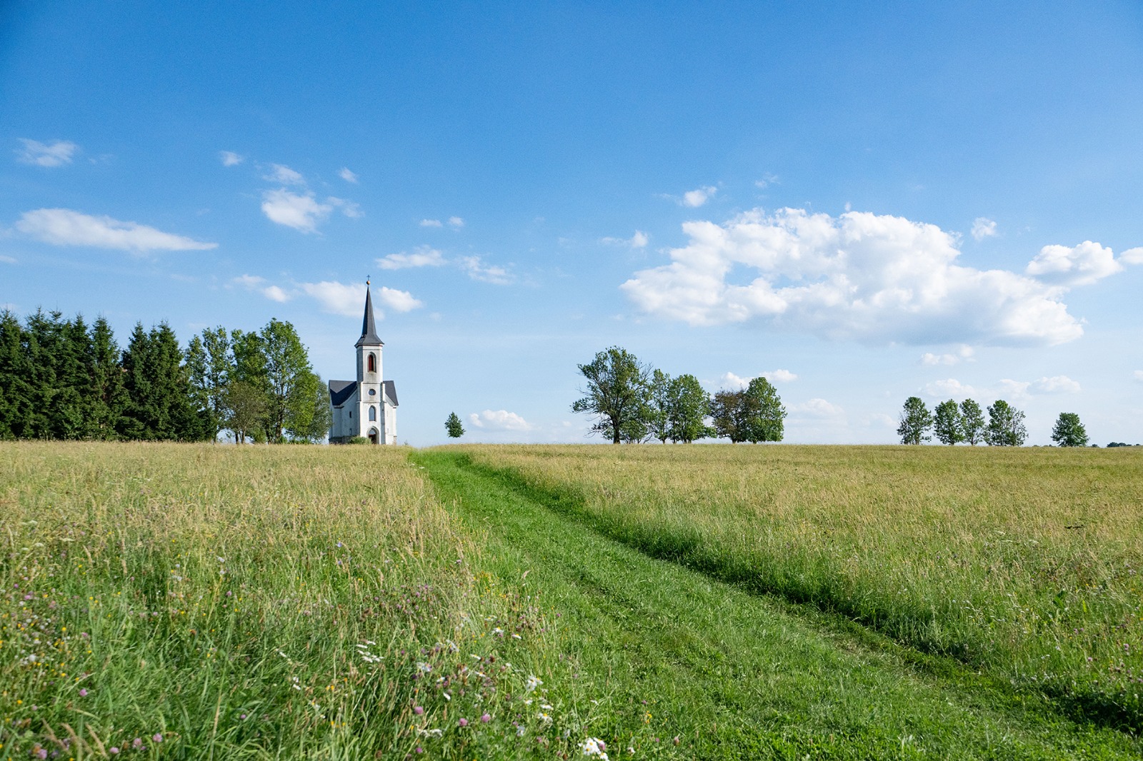 Svatební fotografie